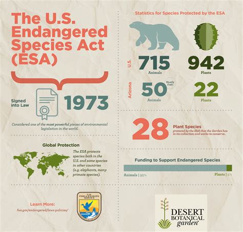 Infographic Endangered Species