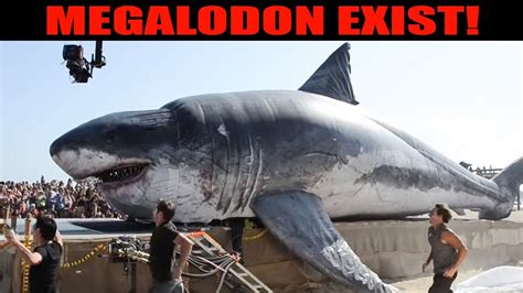 Recent Megalodon Encounters Caught On Camera Youtube