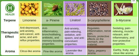 Terpenes Weed