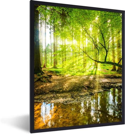 Fotolijst Incl Poster Bos Landschap Water Bomen Zon Groen