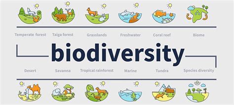 Learning About Types of Biomes and What Lives There