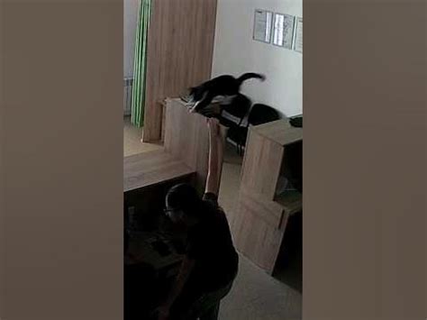 CDEK Челябинск Петра Сумина 24 - YouTube