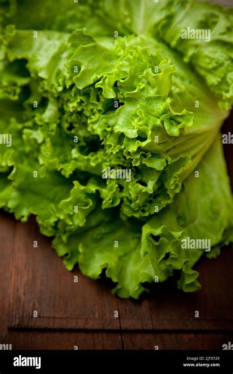 Lettuce Salat Hi Res Stock Photography And Images Alamy