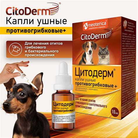Капли ушные CitoDerm противогрибковые для кошек и собак 10 мл - купить ...
