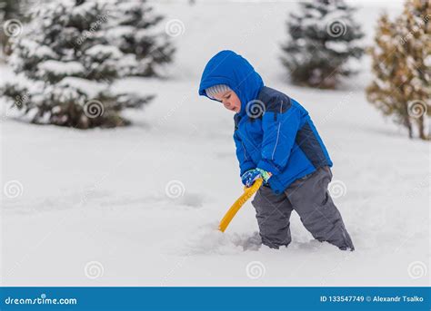 A Little Boy Is Digging Snow With A Shovel In The Winter Stock Image