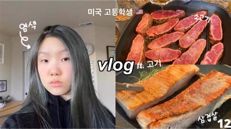 Vlog 미국 05년생 일상겸 먹방 브이로그 Ft 고기 너무 좋아 삼겹살 간장게장 머리 염색 소고기 기 버터