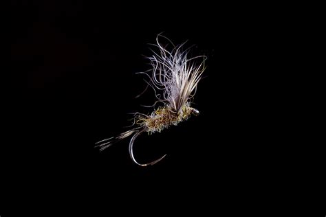 Snowshoe Apple Caddis Dry Fly