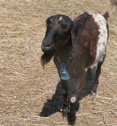 Local news and community updates from The Hutchinson News