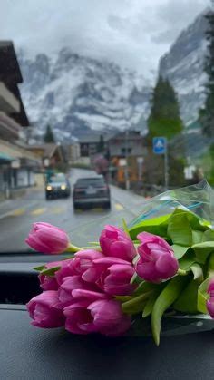 Пин от пользователя Christina на доске Ваши пины | Фиолетовые тюльпаны ...