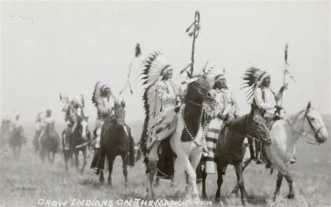 The Crow Society | Crow Bird | Crow Tribe | Crow People | The Crow Society