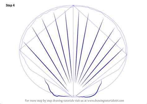 How To Draw A Seashell Everyday Objects Step By Step