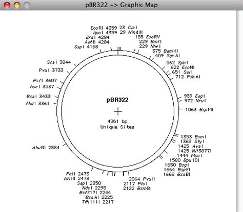 Convert Dnasis Files To Snapgene Dna Format Snapgene