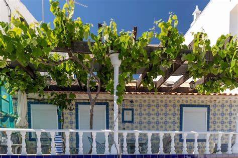 premium photo traditional algarve house  vineyard