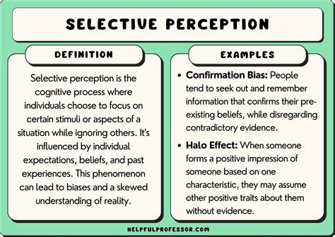 15 Selective Perception Examples 2025