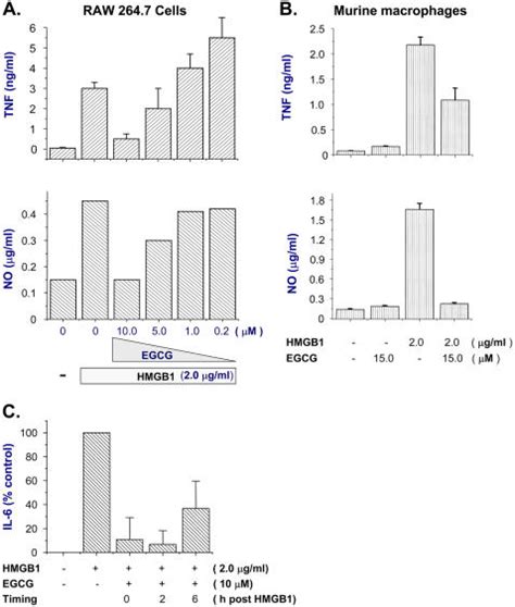 Murine Macrophage Like Raw Cells Panel A Panel C Or Primary