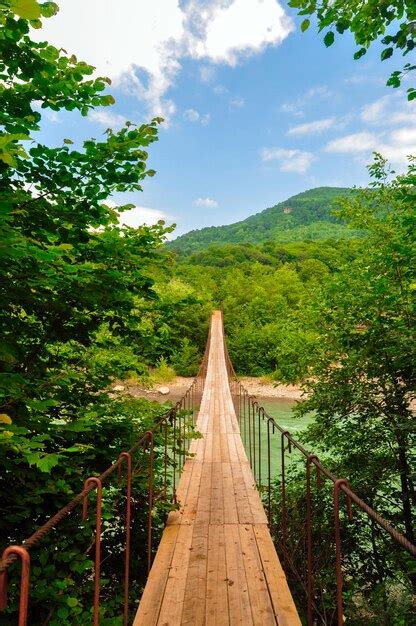 Premium Photo Footbridge Amidst Trees Against Sky