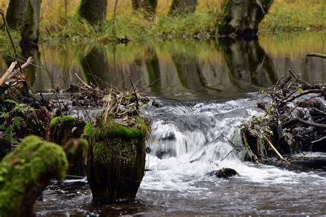brook nature travel  photo  pixabay