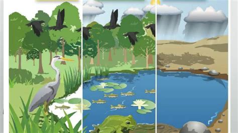 biotic  abiotic components