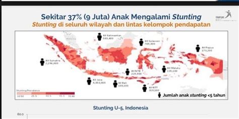 Pemerintah Alokasi Banyak Anggaran Target 2024 Angka Stunting