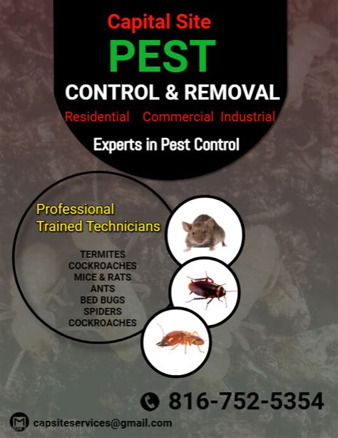 Copy Of Pest Control Flyer Pest Control Services Adv Postermywall