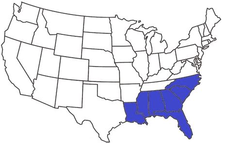 Eastern Coral Snake Facts and Pictures