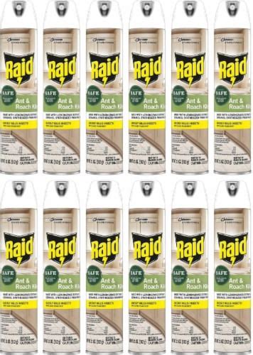 Raid Ant Roach Killer Aerosol Spray Pack Of 12 Pack Of 12 Kroger