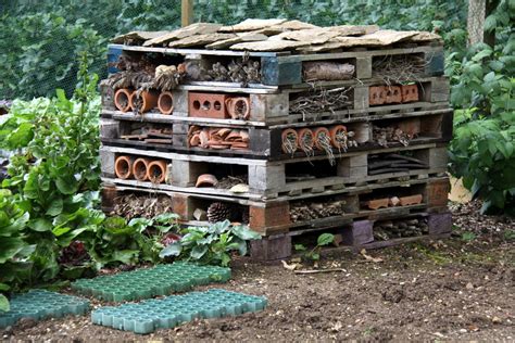 Diy Bug Hotels Practical Garden Art Install It Direct