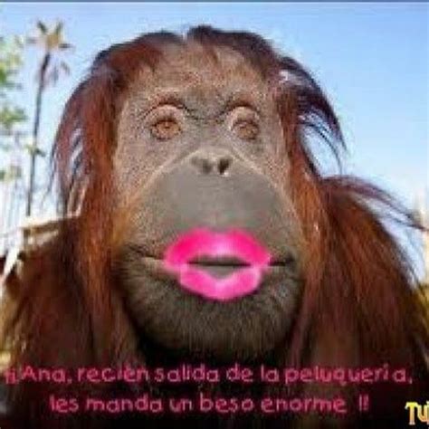 Mis Universo Youtube
