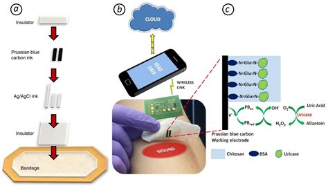 Biosensors Free Full Text Sensors Based On Bio And Biomimetic