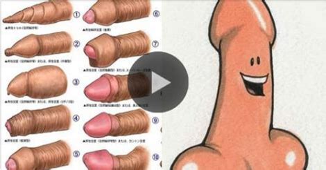 How To Insert Penis Vagina Pornstar Xxx Movies