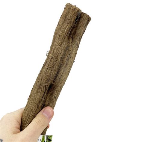 Lian 90-100 cm – Terrariebyggarna AB
