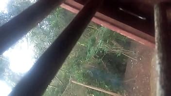 VideoUploader XVIDEOS