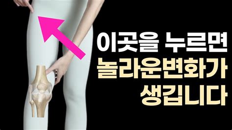 무릎아픈사람 99가 모르는 비밀 솔직히 이곳이 문제였어요 Youtube