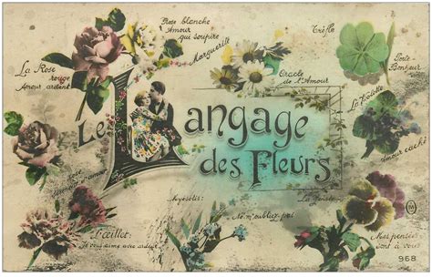 Fleurs Le Langage Des Fleurs