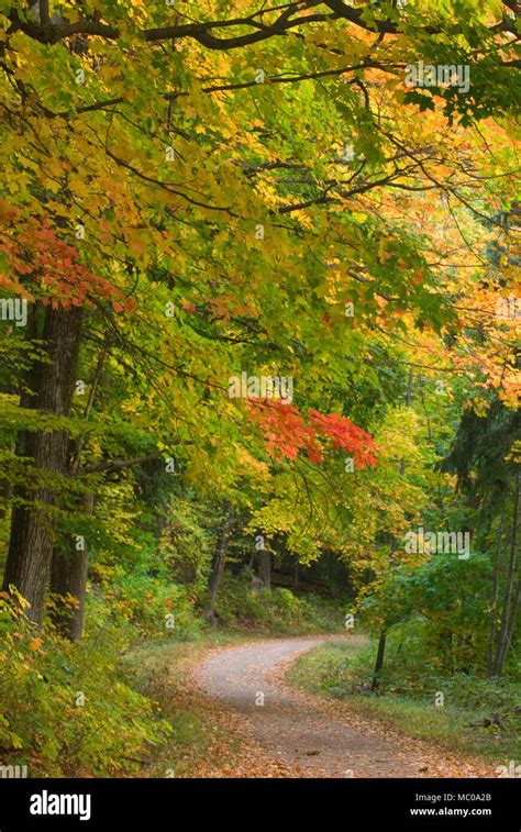 Trail at Hartford Reservoir No. 6, West Hartford Reservoir, West ...