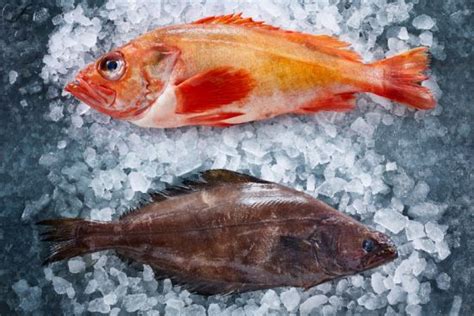 Polar Seafood - The World of Seafood