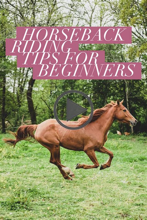 Horseback Riding Tips For Beginners In 2020 Horseback Riding Tips