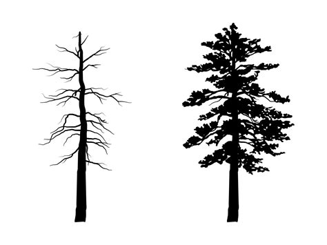 Big Collection Black Tree Or Naked Trees Silhouettes Vector Hand Drawn Isolated Illustrations