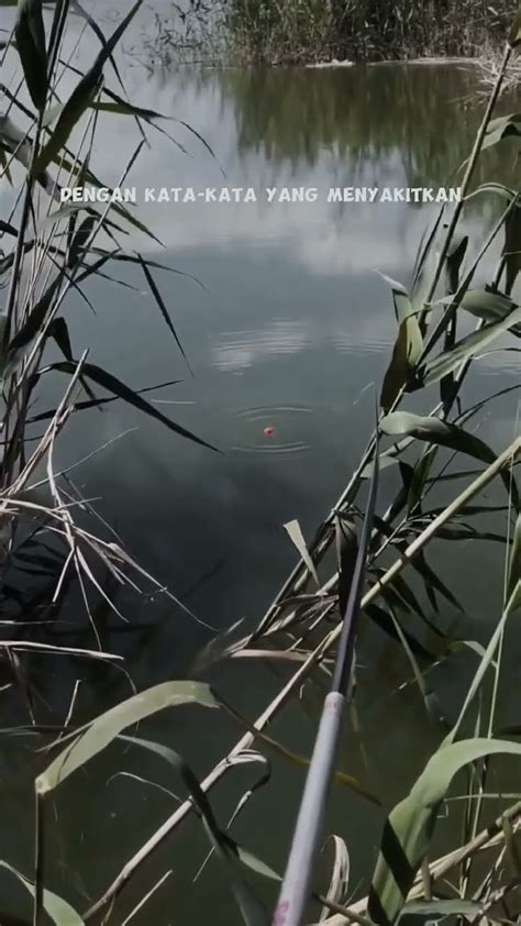 Hanya Berteman Dengan Ikan Shorts Mancing Viral Fishing