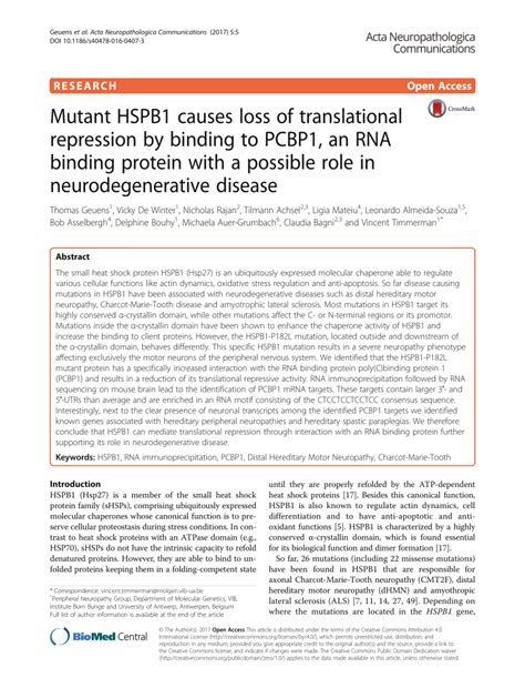 Pdf Mutant Hspb Causes Loss Of Translational Repression By Binding