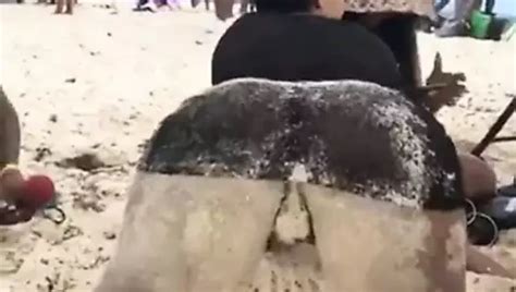 Free Jamaican Booty Porn Videos Xhamster