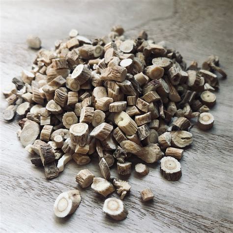 Astragalus Tincture Etsy