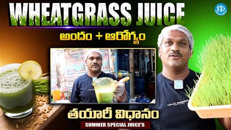 Healthy Benefits Of Drinking Wheatgrass Juice Summer Special Juices