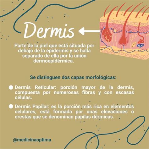 Dermis Medicina Óptima uDocz