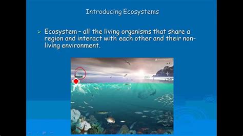ecosystems biotic  abiotic factors youtube