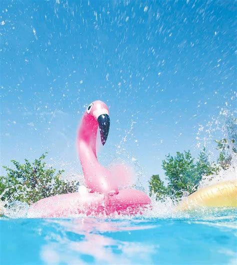 Ultimate Guide to Electrical Forest River RV Wiring Diagrams: Unveiling