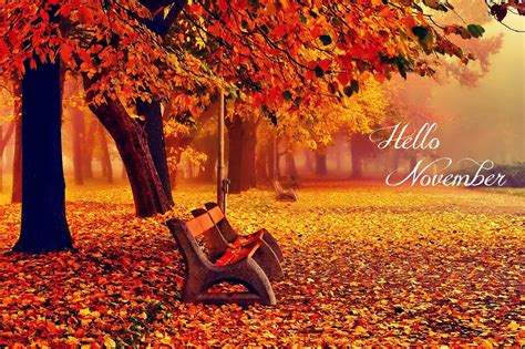 A Life Without Mofongo: Hello November