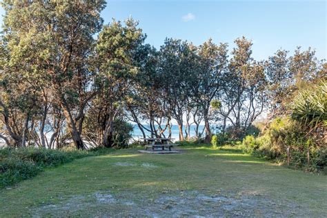 National Park Odyssey: Illaroo Campground, Yuraygir National Park, NSW.