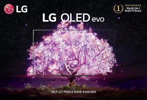 Let LG Light Up Your World: LG's 2021 OLED evo TV • Tech Patrol