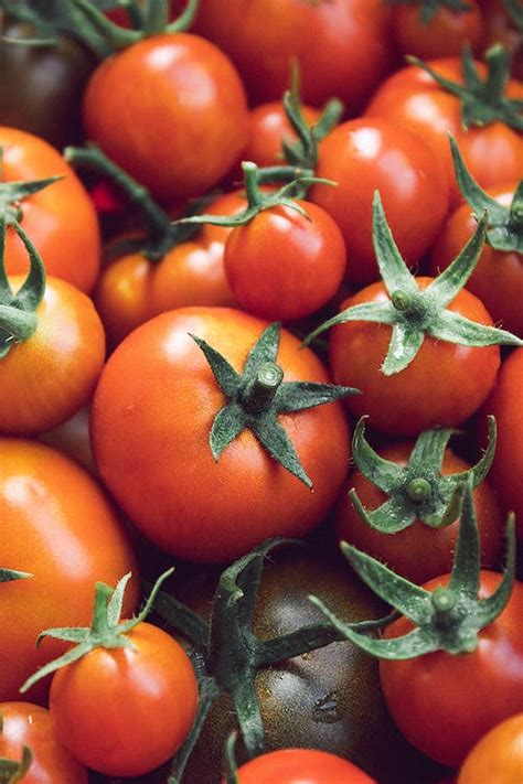 Red Green Tomato Fruit · Free Stock Photo